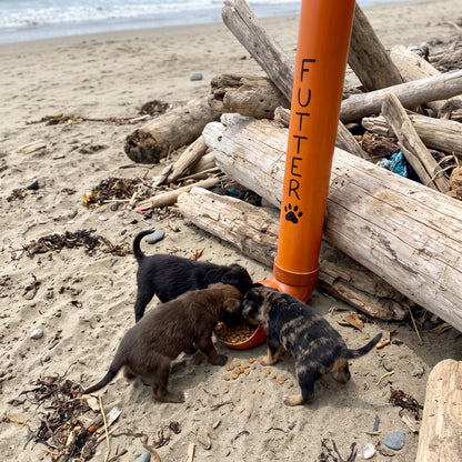 Myloes Futterstation für ausgesetzte Hunde